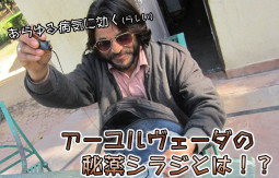 無料プレゼント！　あらゆる病気に効く(らしい)アーユルヴェーダの秘薬シラジ【ティラキタ駱駝通信　8月27日号】