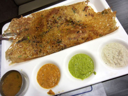 ドーサはどうさ？　とっても美味しい南インドの人気料理ドーサを解説してみる【ティラキタ駱駝通信 6月6日号】