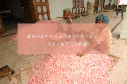 超贅沢！ たっぷりな薔薇の花で作られるローズオイルと天然香油[インドモノ辞典]