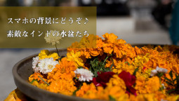 スマホの背景にどうぞ♪　素敵なインドの水盆たち【ティラキタ駱駝通信 6月30日号】