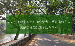 ムンバイの中心から30分で大自然が味わえる素敵な自然公園を訪問する【ティラキタ駱駝通信 7月28日号】