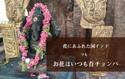 花にあふれた国インド。 でも…お花はいつも首チョンパ【ティラキタ駱駝通信　7月13日号】