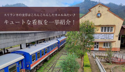 スリランカの言葉はころんころんしたカエルみたい♪　キュートなシンハラ文字の看板を一緒紹介！【ティラキタ駱駝通信　10月26日号】