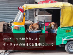 23年やっても飽きないよ！　ティラキタの毎日のお仕事について