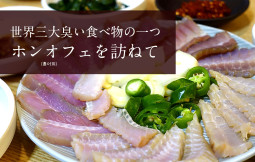 世界三大臭い食べ物の一つ ホンオフェを訪ねて【ティラキタ駱駝通信　1月28日号】