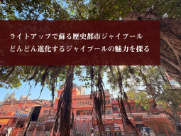 ライトアップで蘇る歴史都市　どんどん進化するジャイプールの魅力を探る
