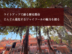 ライトアップで蘇る歴史都市　どんどん進化するジャイプールの魅力を探る【ティラキタ駱駝通信　5月1日号】
