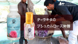 ティラキタ-プシュカルローズ物語♪ 伝統的なローズウォーターの工房を訪問する【ティラキタ駱駝通信　6月10日号】