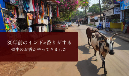 30年前のインドの香りがする　聖牛のお香がやってきました