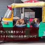 23年やっても飽きないよ! ティラキタの毎日のお仕事について 23年やっても飽きないよ! ティラキタの毎日のお仕事について