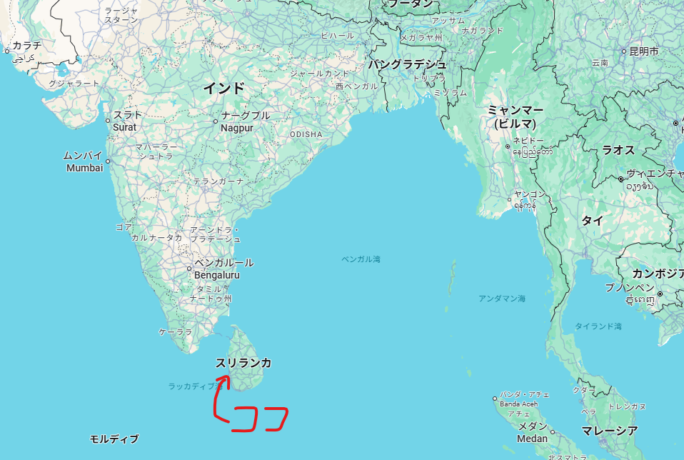 干物製造世界一！？　延々と続く干物の絨毯と巨大魚の市場を探訪する