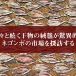延々と続く干物の絨毯が驚異的なネゴンボの市場を探訪する