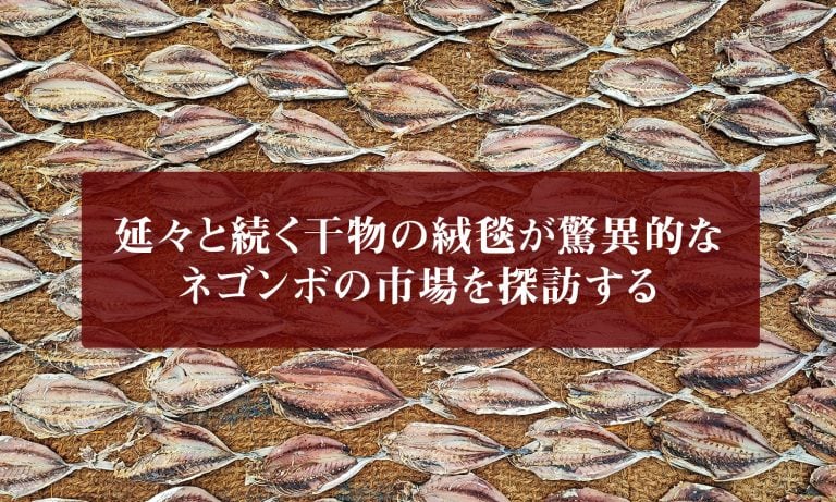 延々と続く干物の絨毯が驚異的なネゴンボの市場を探訪する